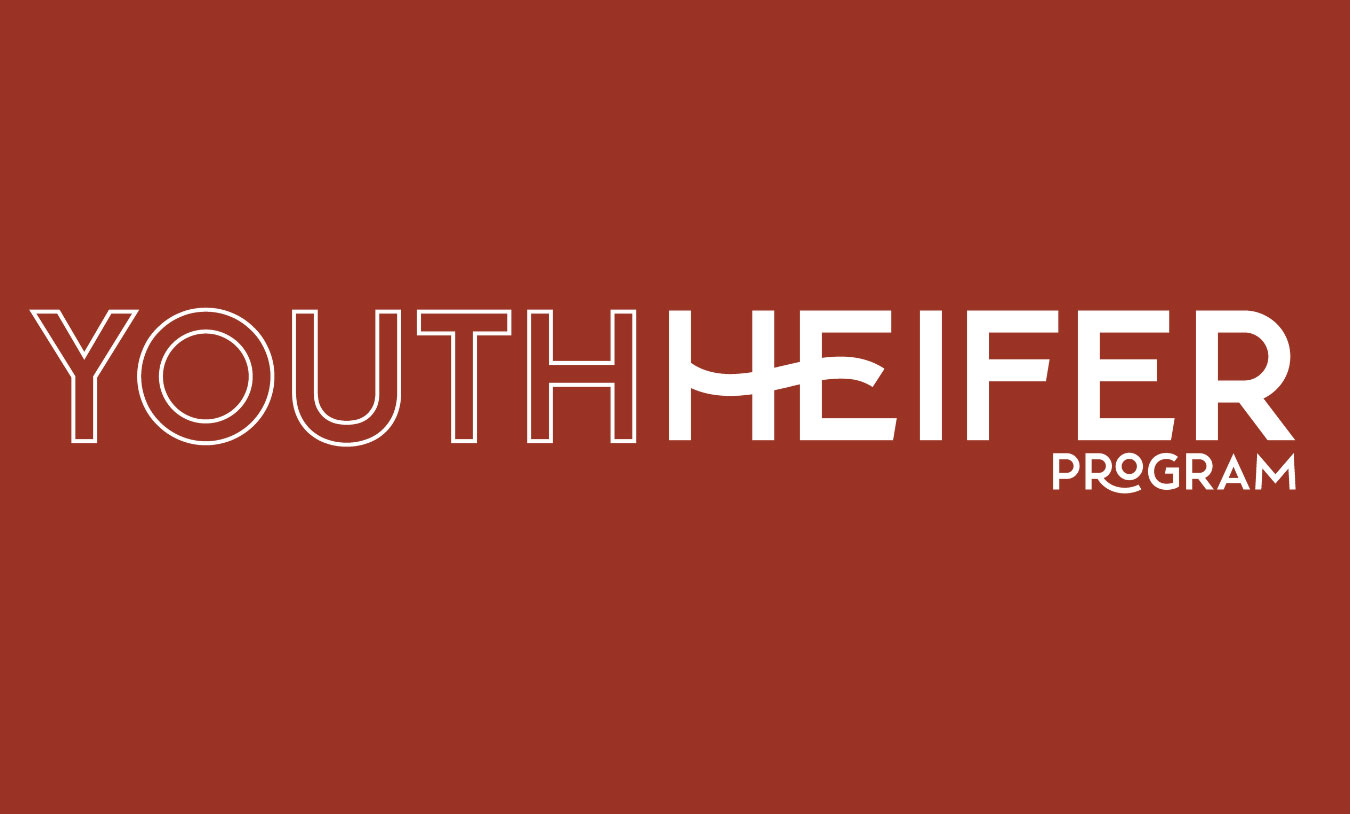 Youth Heifer Program Accepting Applications for 2021