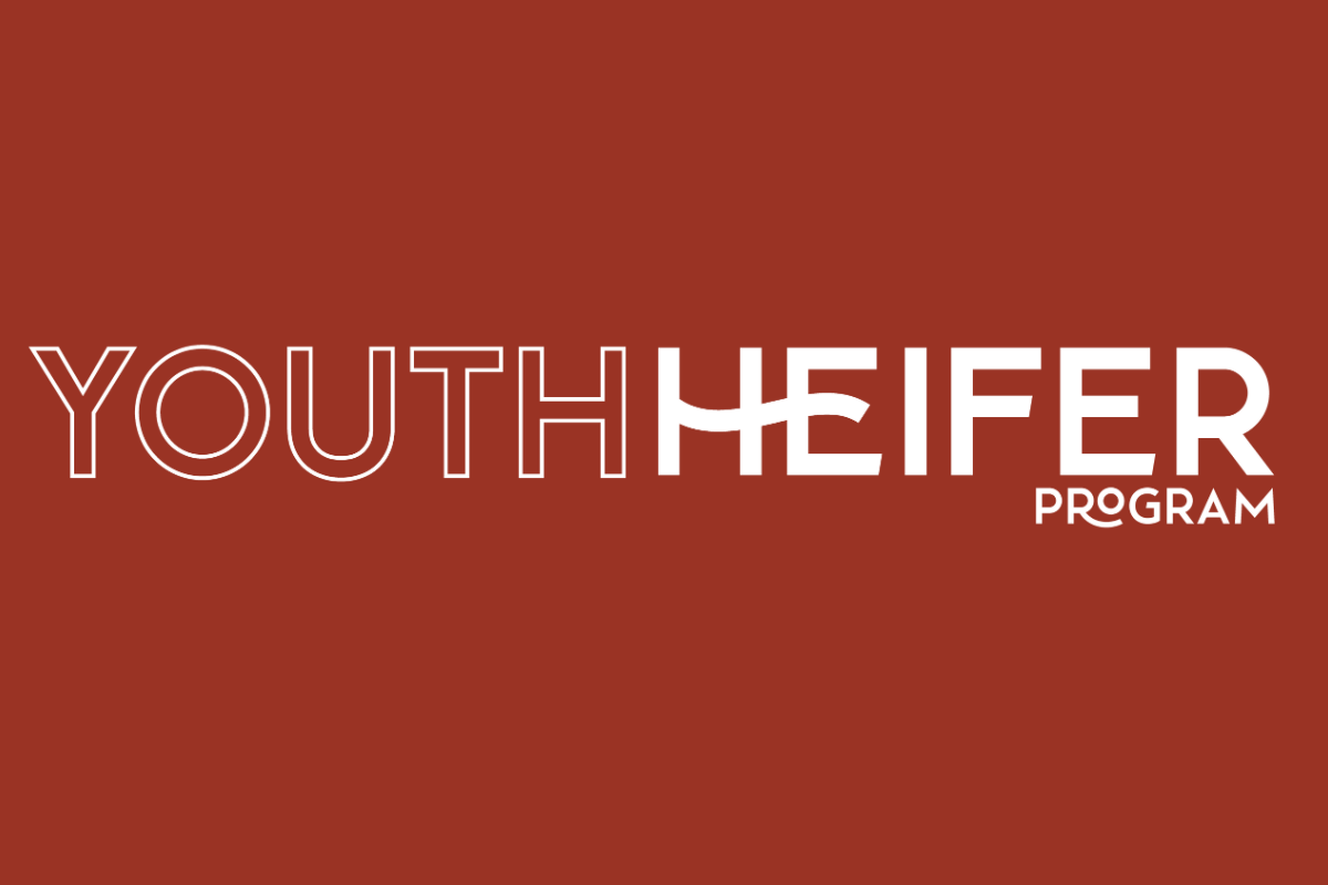 Midwest Heritage Announces Recipients of 2024 Youth Heifer Program