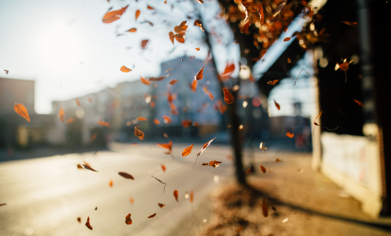 Fall Into Savings: How to Budget Smartly for Autumn Expenses