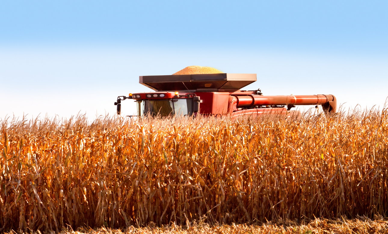 Managing Farm Finances Through Harvest