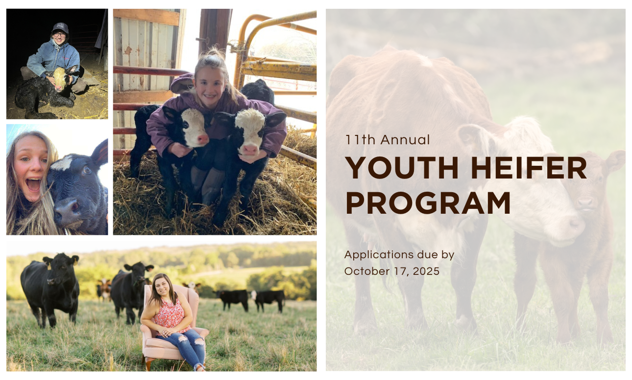11th Annual Midwest Heritage Youth Heifer Program Supports Future Farmers in Iowa