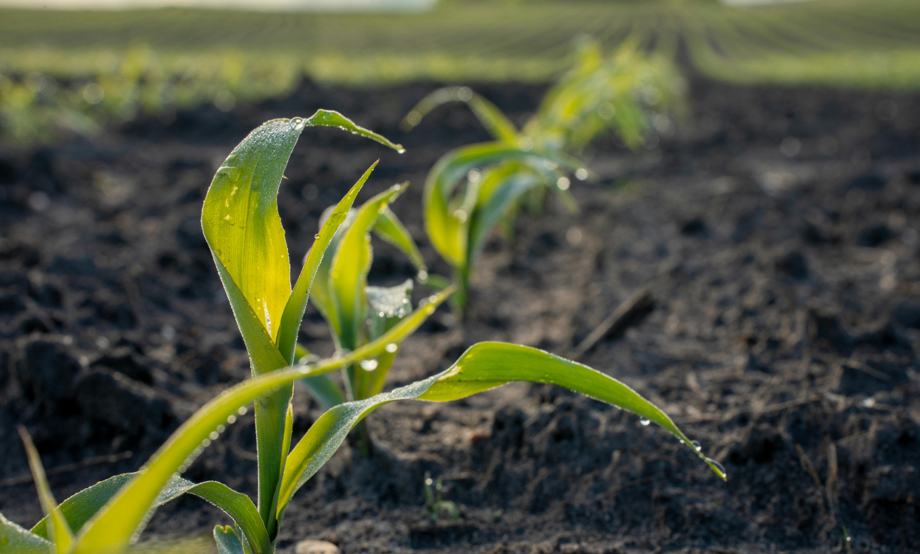 Financial Planning Tips for the Start of a New Farming Year