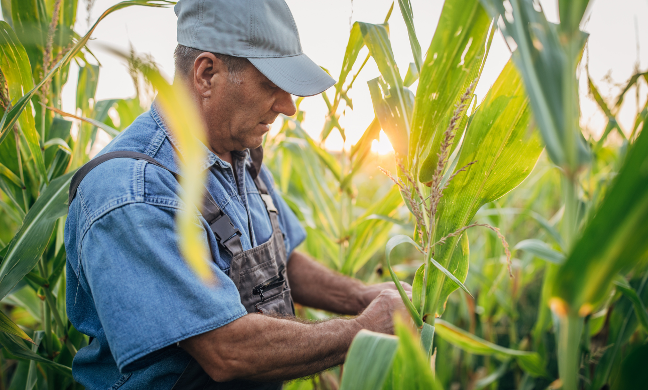 Why Local Banks Matter for Farmers and Ag Businesses