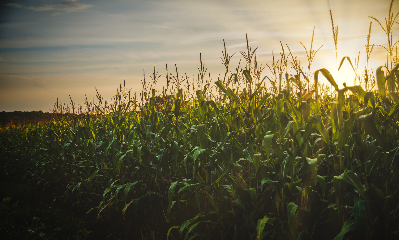Farmer’s Insurance Checklist for Harvest Season 
